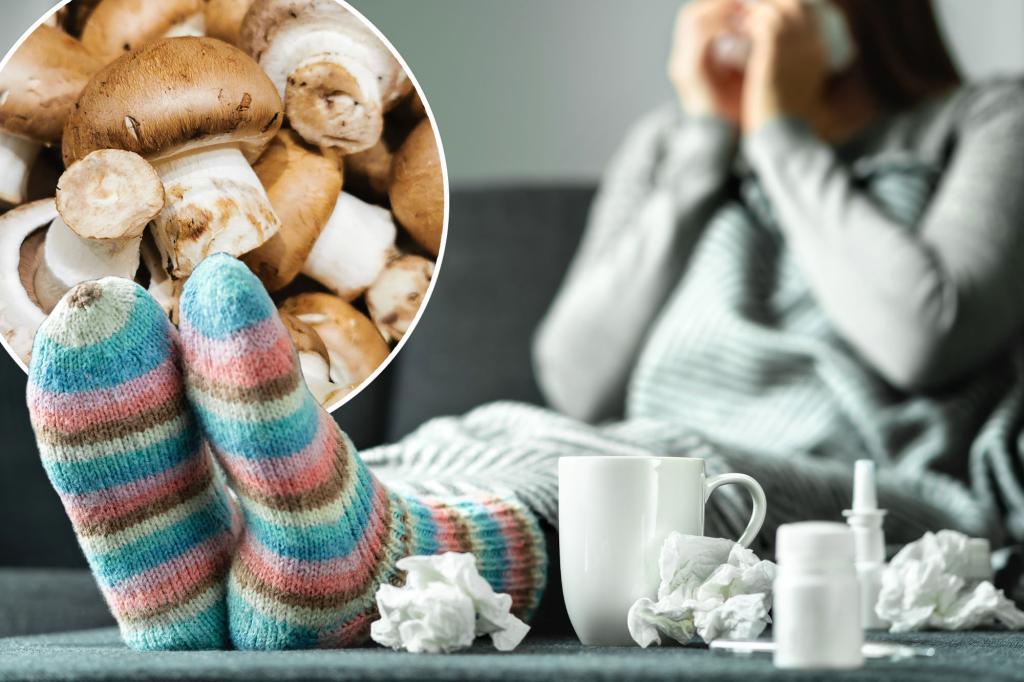 Mushrooms can make the flu less terrible - here's what to know