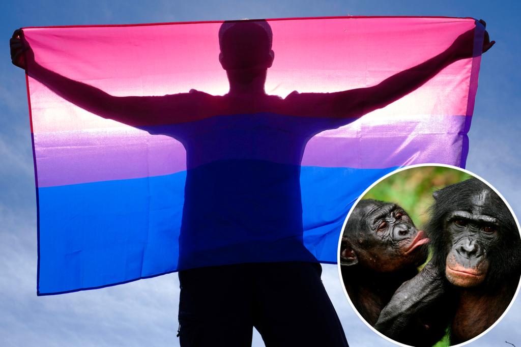 Bisexuality is a nearly university experience in the primates involved, the research says